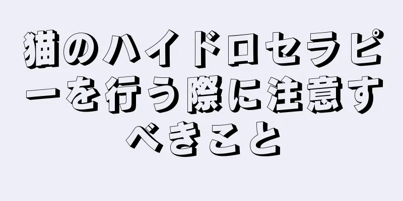 猫のハイドロセラピーを行う際に注意すべきこと