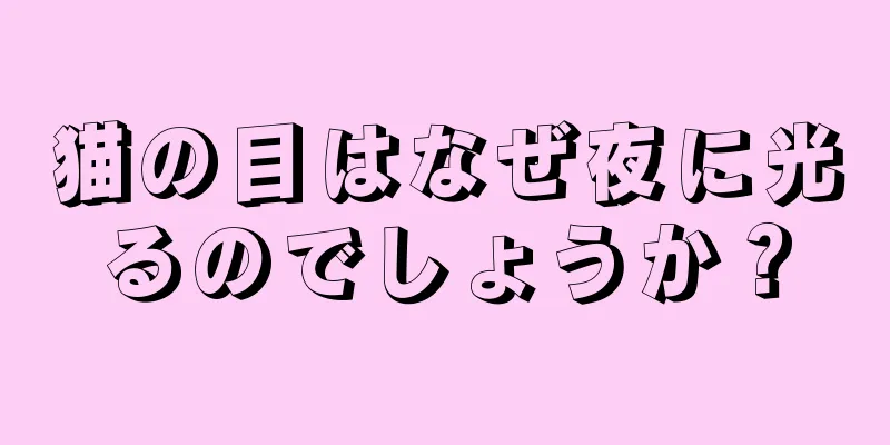 猫の目はなぜ夜に光るのでしょうか？
