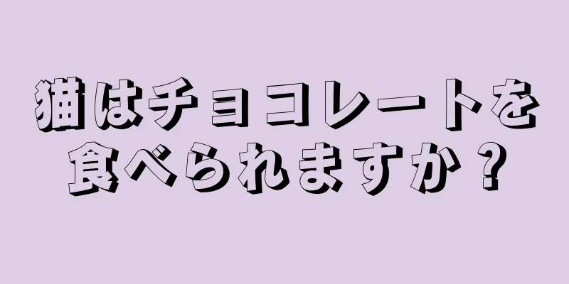 猫はチョコレートを食べられますか？