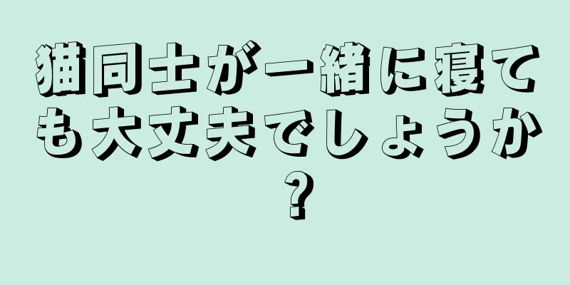 猫同士が一緒に寝ても大丈夫でしょうか？