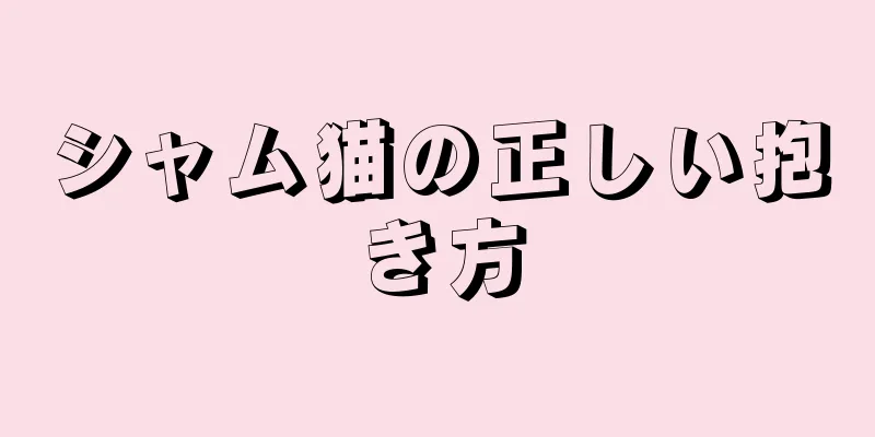 シャム猫の正しい抱き方