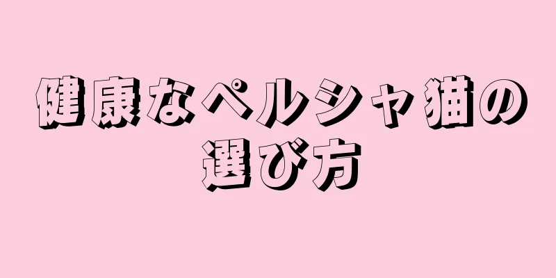 健康なペルシャ猫の選び方