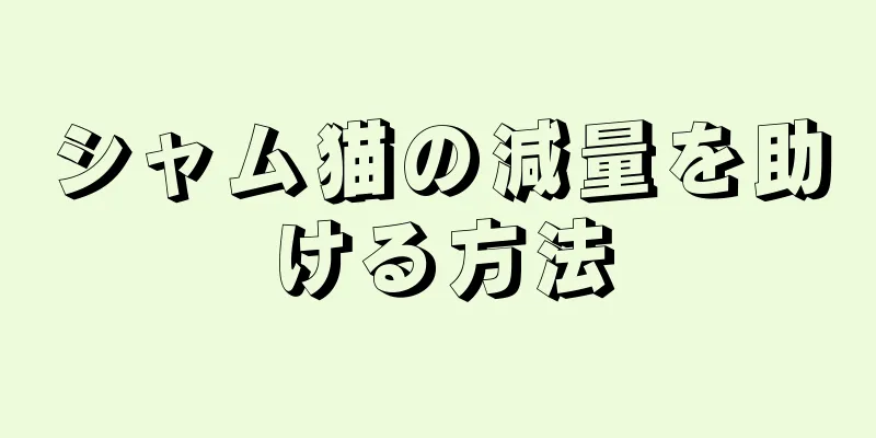 シャム猫の減量を助ける方法