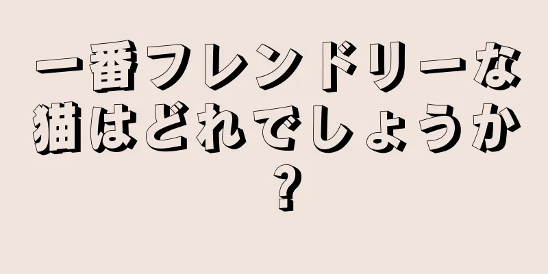 一番フレンドリーな猫はどれでしょうか？