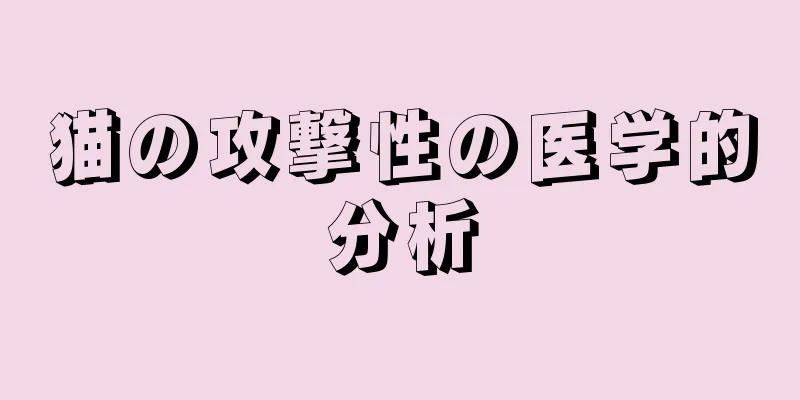 猫の攻撃性の医学的分析