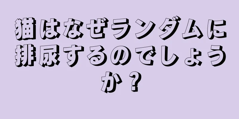 猫はなぜランダムに排尿するのでしょうか？
