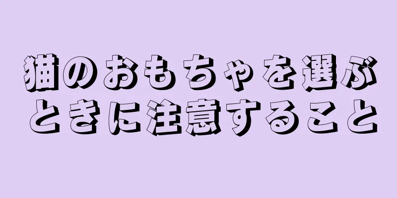 猫のおもちゃを選ぶときに注意すること