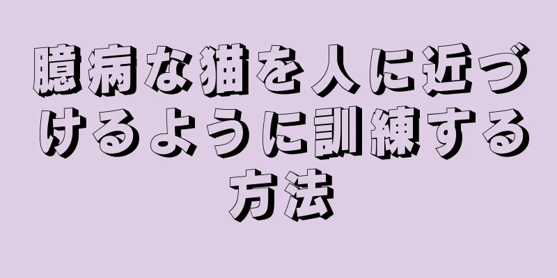 臆病な猫を人に近づけるように訓練する方法