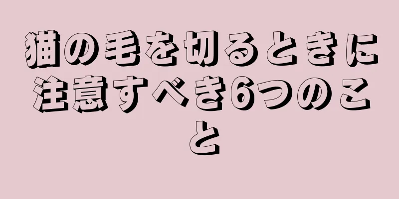 猫の毛を切るときに注意すべき6つのこと