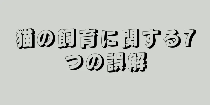 猫の飼育に関する7つの誤解