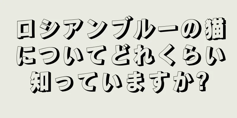 ロシアンブルーの猫についてどれくらい知っていますか?