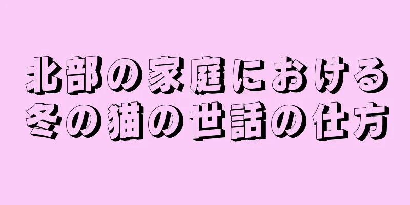 北部の家庭における冬の猫の世話の仕方