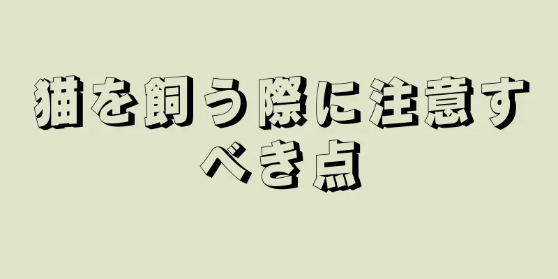 猫を飼う際に注意すべき点