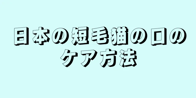 日本の短毛猫の口のケア方法