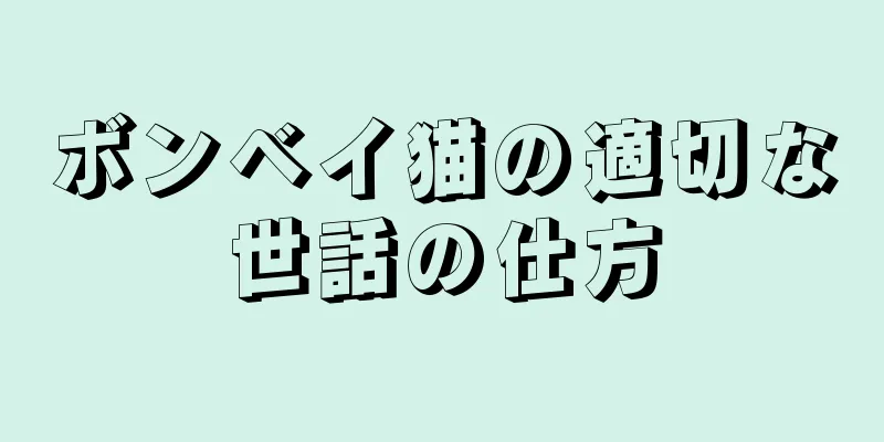 ボンベイ猫の適切な世話の仕方