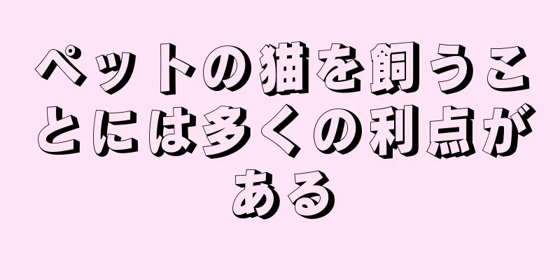 ペットの猫を飼うことには多くの利点がある