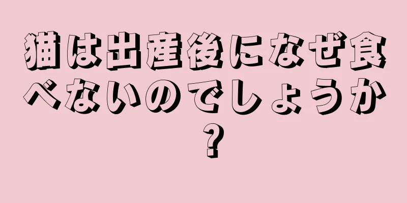 猫は出産後になぜ食べないのでしょうか？