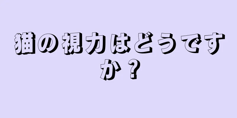 猫の視力はどうですか？
