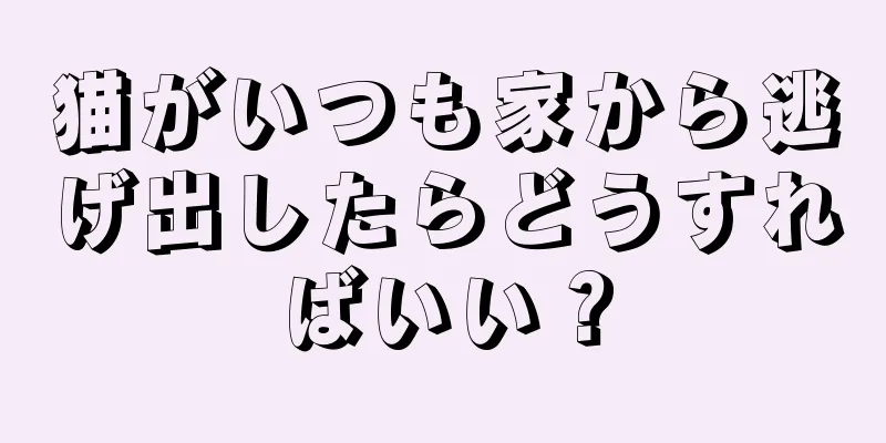 猫がいつも家から逃げ出したらどうすればいい？
