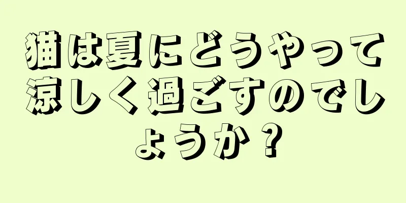 猫は夏にどうやって涼しく過ごすのでしょうか？