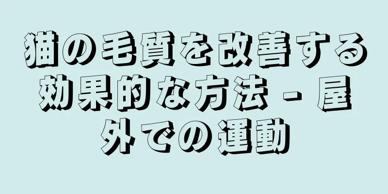 猫の毛質を改善する効果的な方法 - 屋外での運動