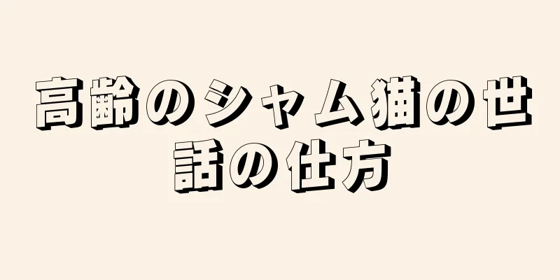 高齢のシャム猫の世話の仕方