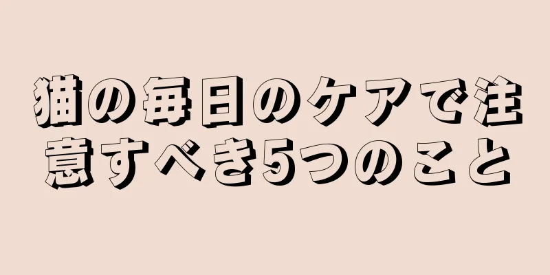 猫の毎日のケアで注意すべき5つのこと