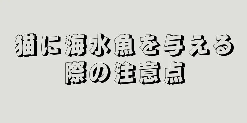 猫に海水魚を与える際の注意点