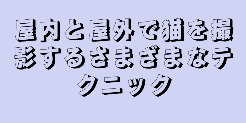 屋内と屋外で猫を撮影するさまざまなテクニック