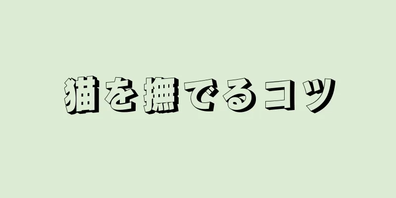 猫を撫でるコツ