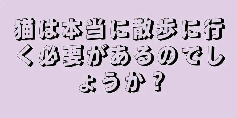 猫は本当に散歩に行く必要があるのでしょうか？