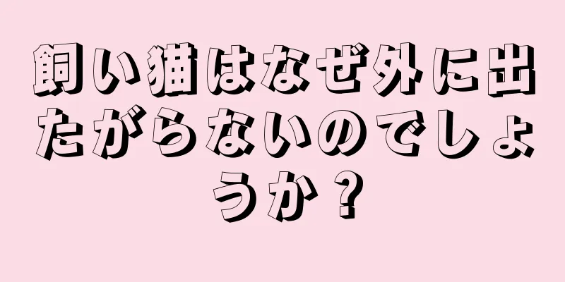 飼い猫はなぜ外に出たがらないのでしょうか？