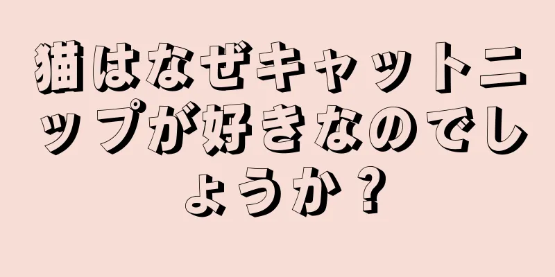 猫はなぜキャットニップが好きなのでしょうか？