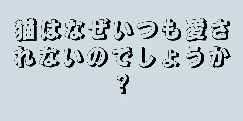 猫はなぜいつも愛されないのでしょうか?