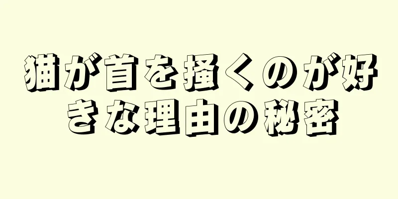 猫が首を掻くのが好きな理由の秘密