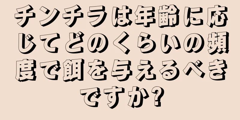 チンチラは年齢に応じてどのくらいの頻度で餌を与えるべきですか?