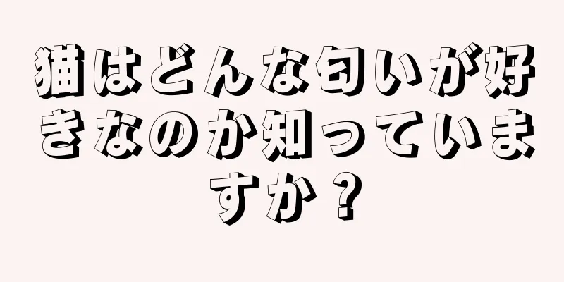 猫はどんな匂いが好きなのか知っていますか？