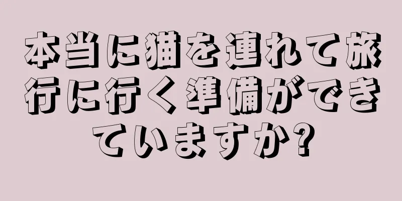 本当に猫を連れて旅行に行く準備ができていますか?