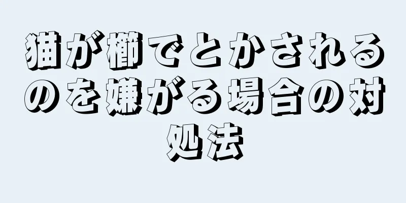 猫が櫛でとかされるのを嫌がる場合の対処法