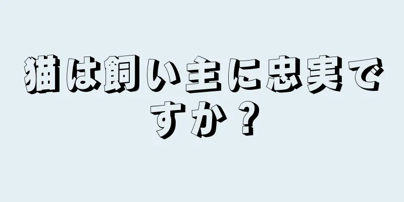 猫は飼い主に忠実ですか？