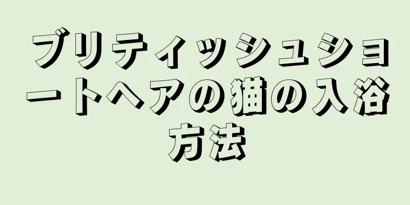 ブリティッシュショートヘアの猫の入浴方法