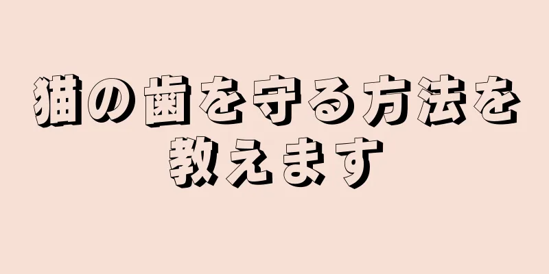 猫の歯を守る方法を教えます