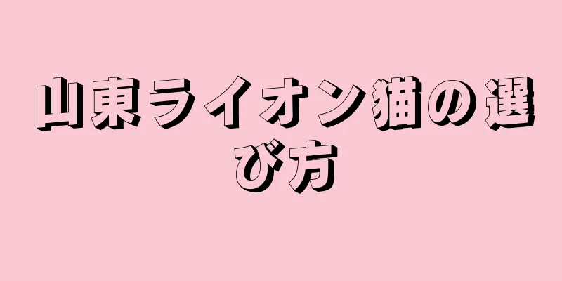 山東ライオン猫の選び方