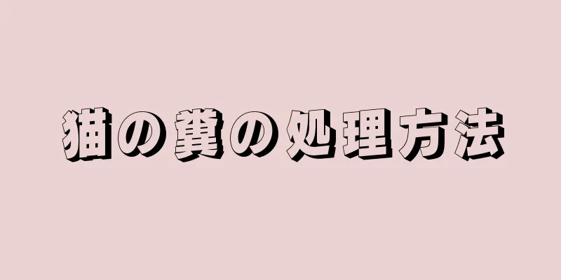 猫の糞の処理方法
