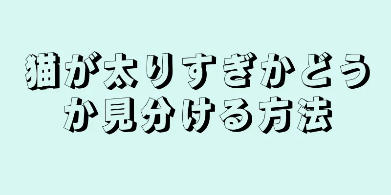猫が太りすぎかどうか見分ける方法