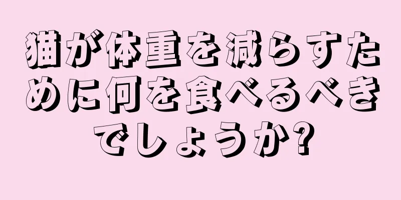 猫が体重を減らすために何を食べるべきでしょうか?