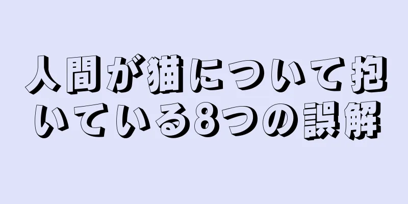 人間が猫について抱いている8つの誤解