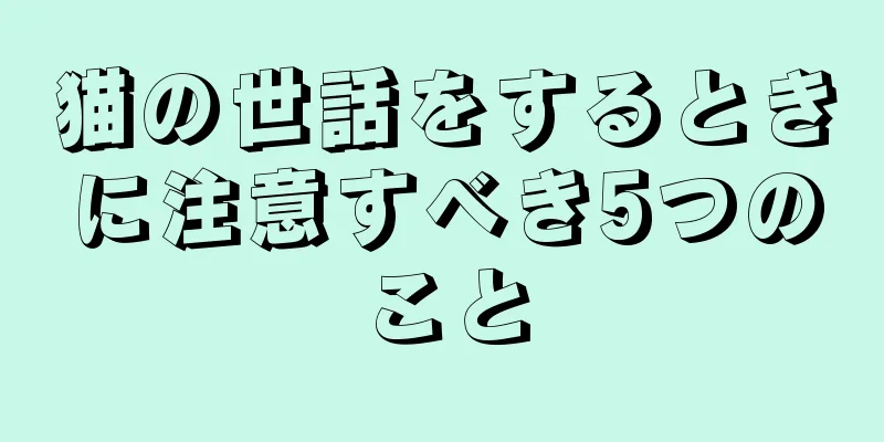 猫の世話をするときに注意すべき5つのこと