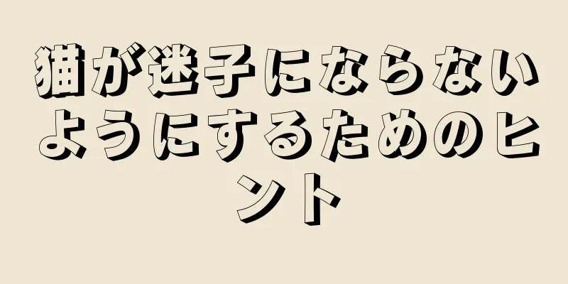 猫が迷子にならないようにするためのヒント