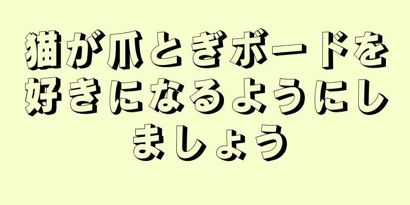 猫が爪とぎボードを好きになるようにしましょう